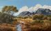 Winter Bushveld