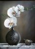 "White Orchid "