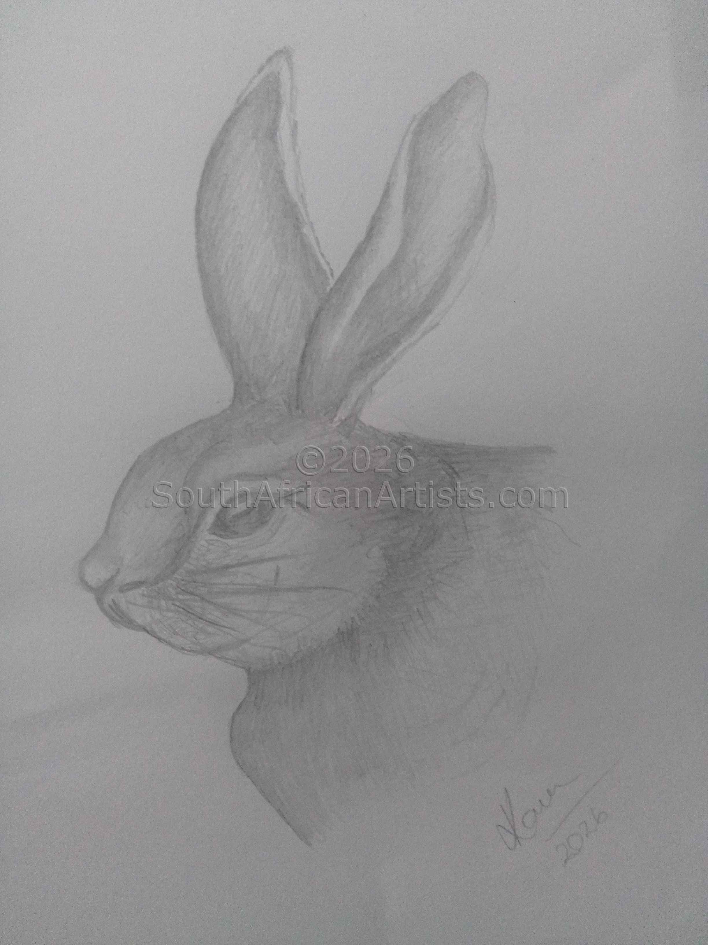 Little Rabbit