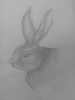 "Little Rabbit"