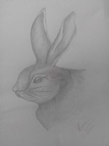 "Little Rabbit"