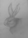 Little Rabbit