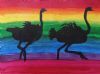 "Rainbow Ostriches "