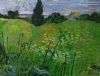 "Green Meadow "