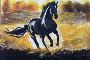 "Wild Stallion "