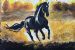 Wild Stallion 