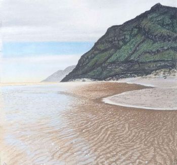 "Wetland Near Noordhoek Beach "