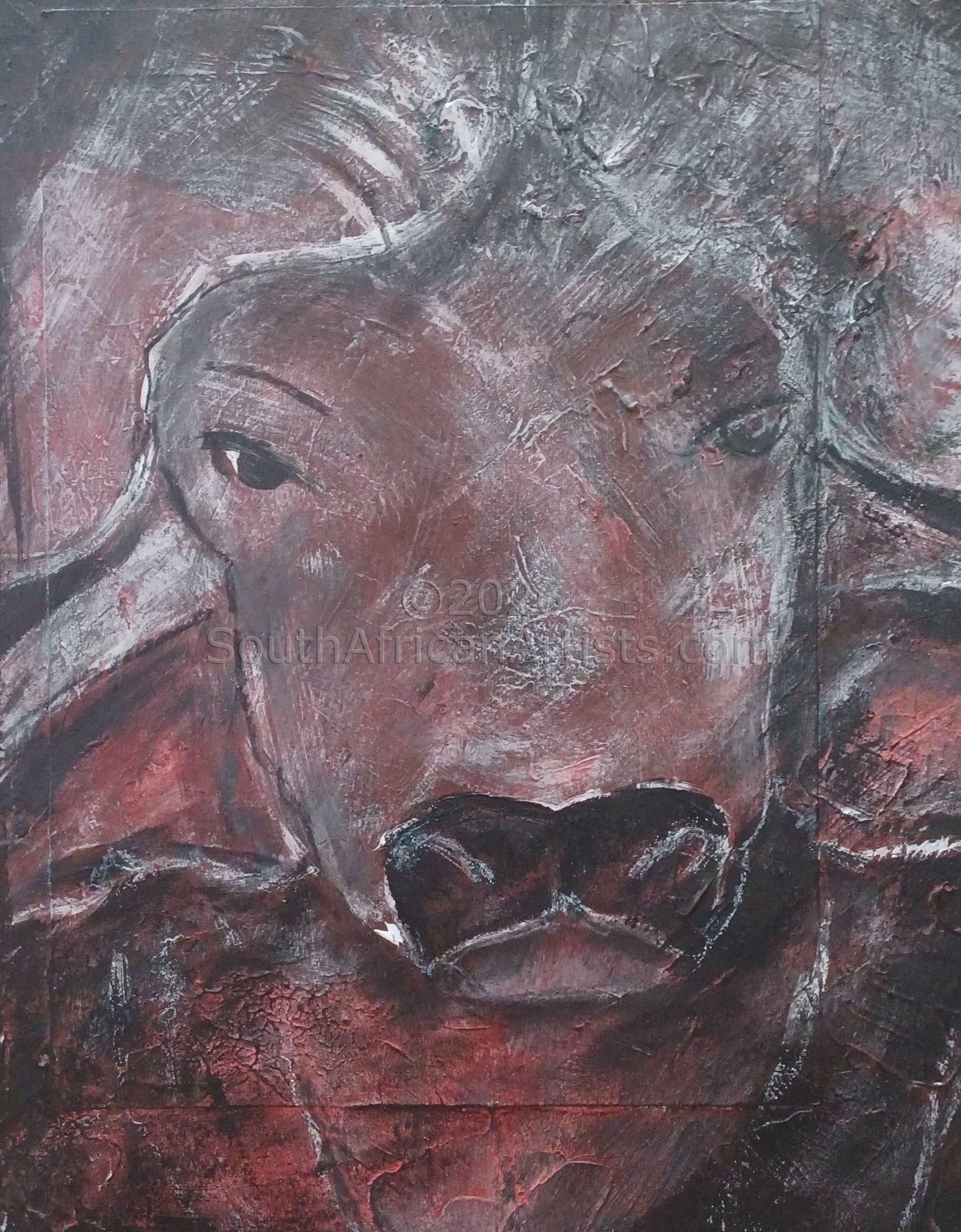 AfricanBuffalo