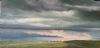 "Fading Light "