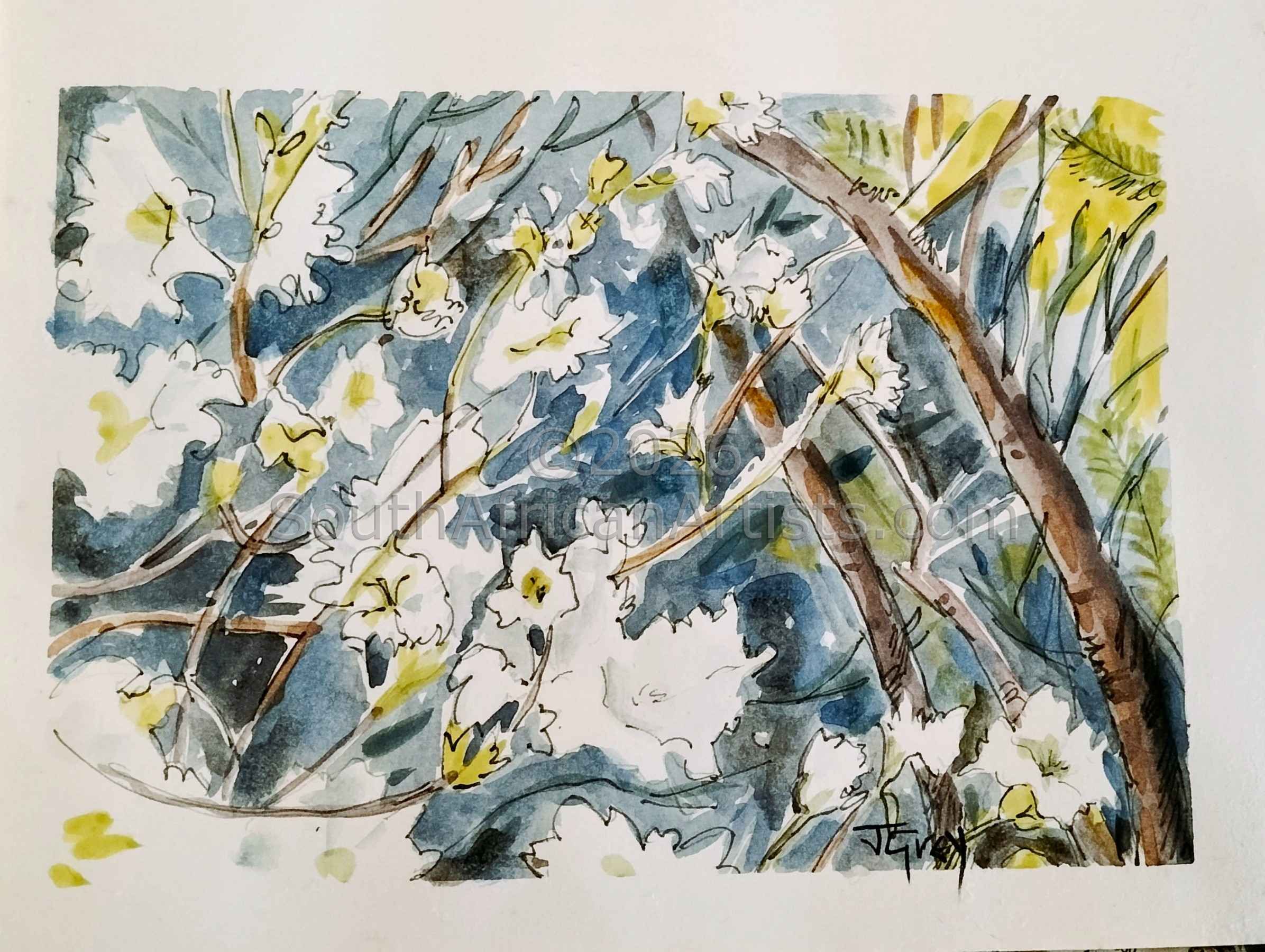 Azaleas