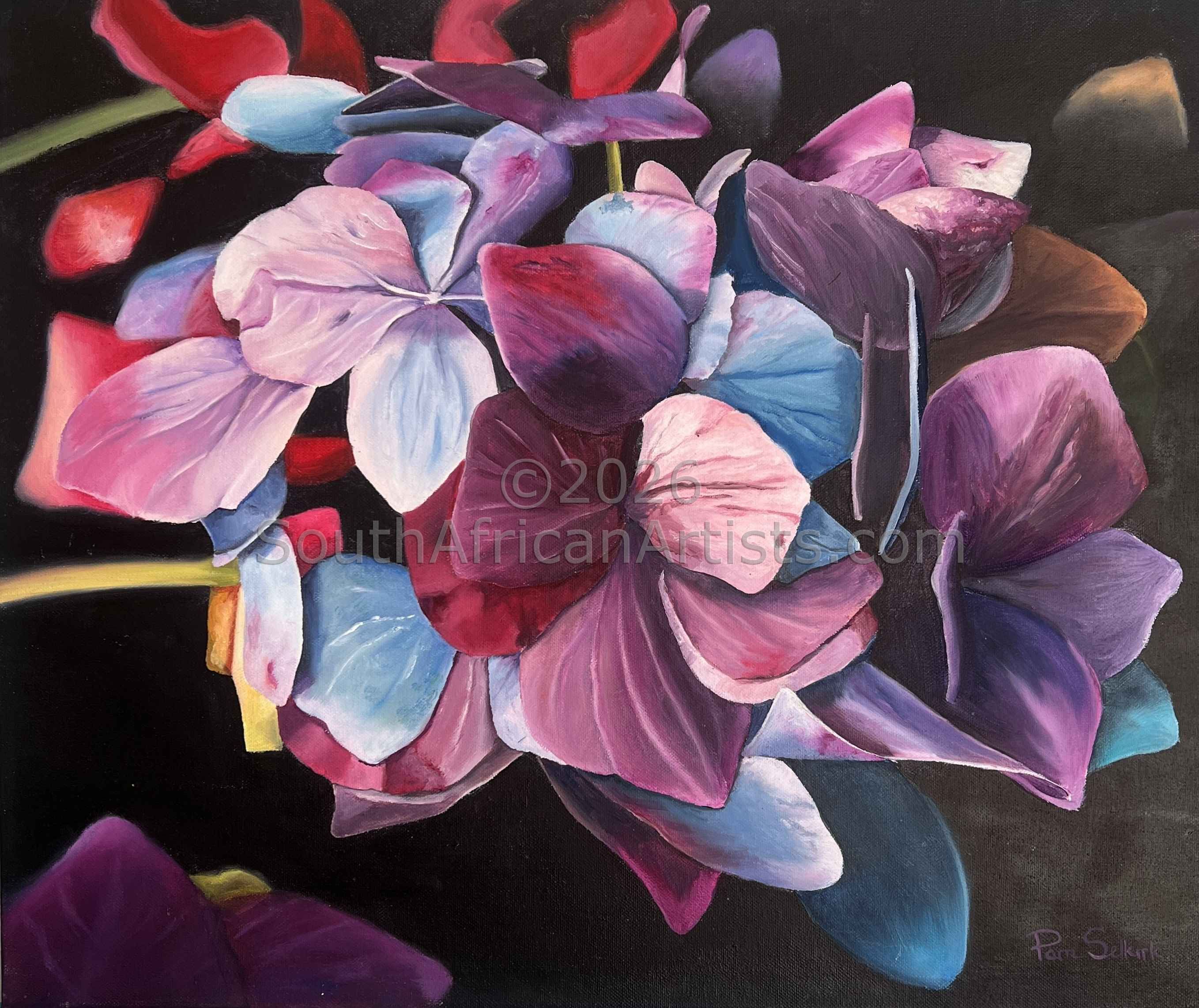 Burst of Colour