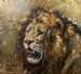 Windblown Lion