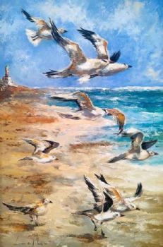 "Seagulls"
