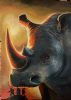 "Southern White Rhino - Where the Light Breaks"
