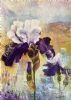 "Joy In A Bloom"