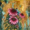 "Echinacea Grace"