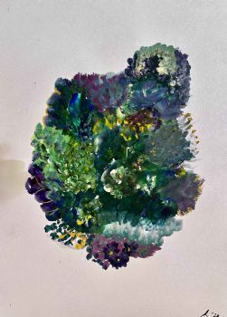 "Anemone 1/2"