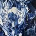 Blue Protea 2