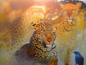 "Wildlife 3"
