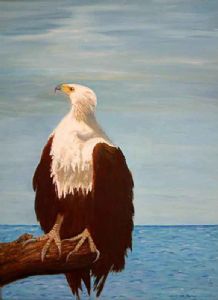 "Fish Eagle"
