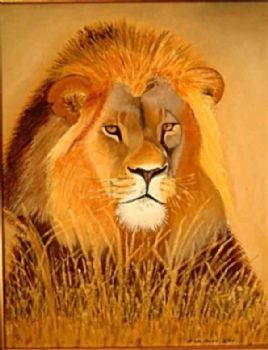 "African Lion"