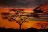 "African Dawn"