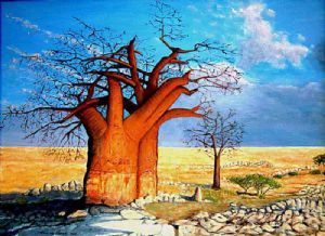 "African Baobab"