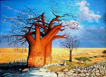 "African Baobab"
