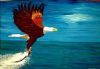 "Fish Eagle in Action"