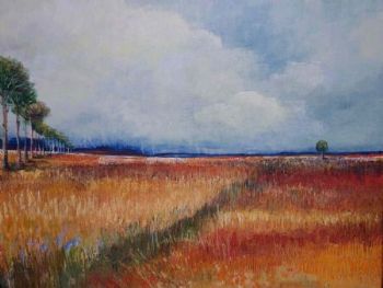 "Plains 1"