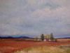 "Plains 3"