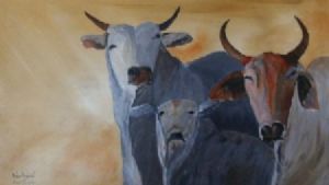 "Arrogant African Cows"