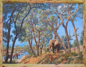 "Elephants and Jackalberry Trees"