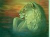 "Sunset lion"
