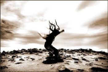 "Freedom"