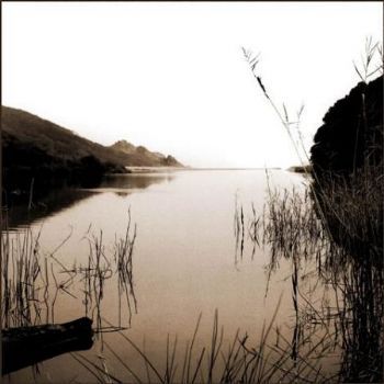 "View From Knoetzie River"