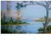 "Newmouth Richards Bay With Causerina Tree"