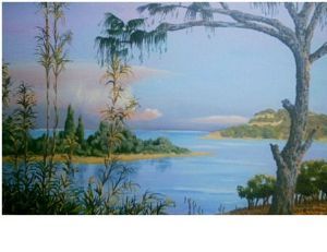 "Newmouth Richards Bay With Causerina Tree"