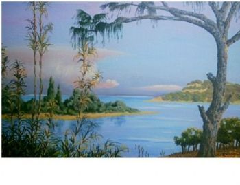 "Newmouth Richards Bay With Causerina Tree"