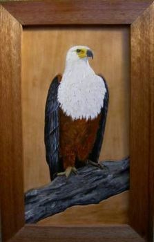 "African Fish eagle on leather"