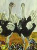 "Ostrich Dance"