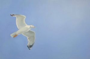"Soaring"