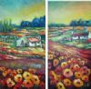 "Namaqualand Daisy Farm"