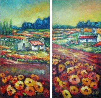 "Namaqualand Daisy Farm"