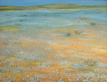 "Namaqualand, Field of Blue Flowers"
