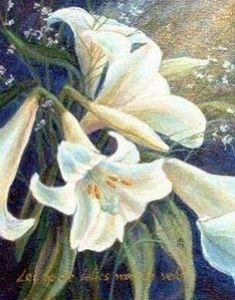 "St Josephs Lilies"