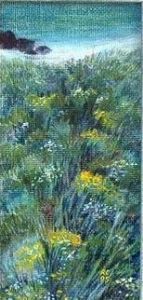 "Sea Fynbos, Pringle Bay"