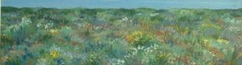 "Fynbos Field, Day"