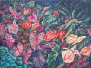 "Natal flowers"