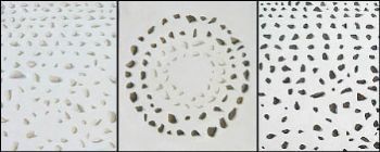"River Triptych"